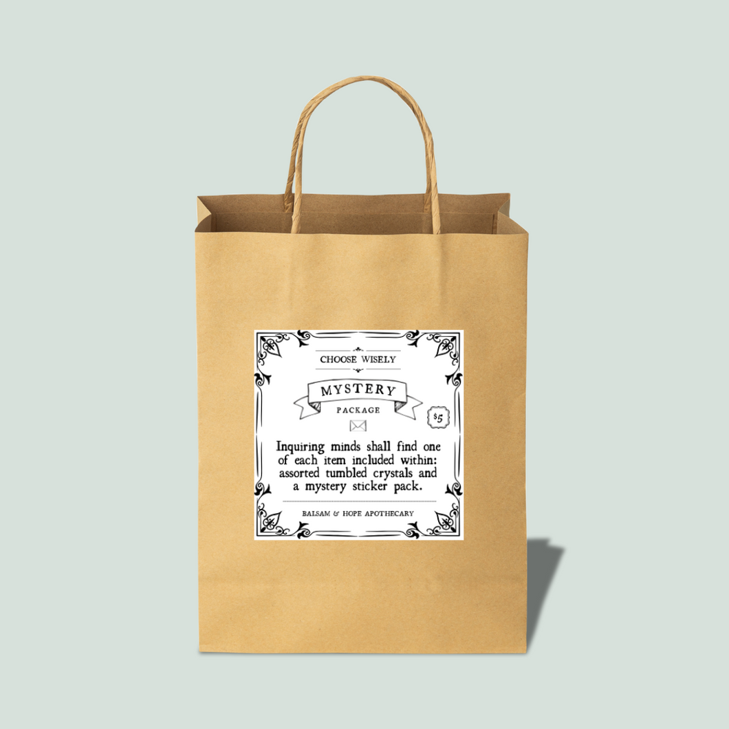 Mystery Bags for Curious Minds